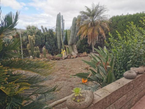 Los Cactus